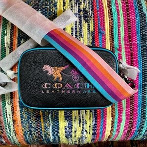 Coach Rexy Carriage Glitter Ombre Rainbow Crossbody